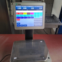 1 system scales Digi 
